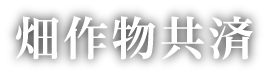 畑作物共済